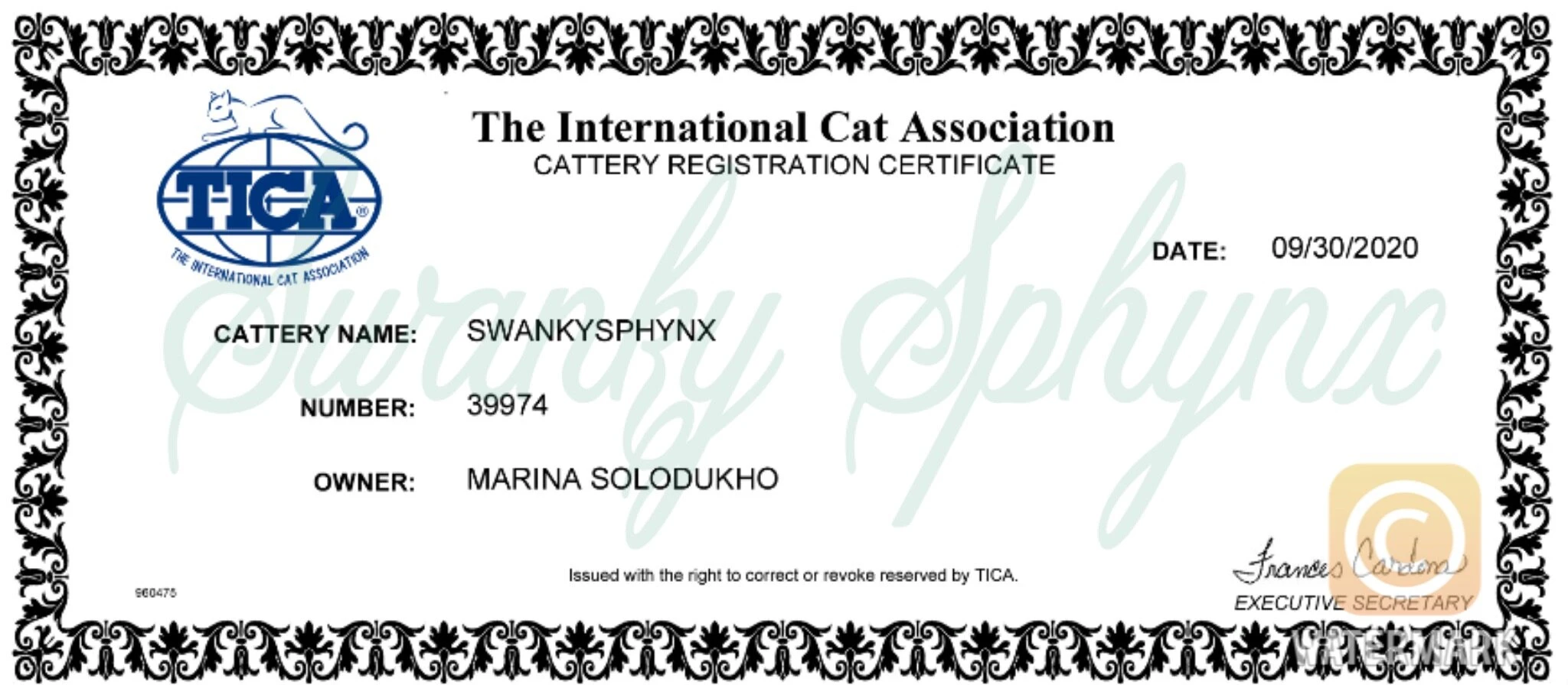 TICA Registration